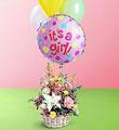 The FTD� Baby Girl Bouquet with Balloons