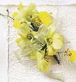 The FTD� Secret Garden� Corsage