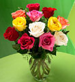 1 Dozen Mixed Color Roses